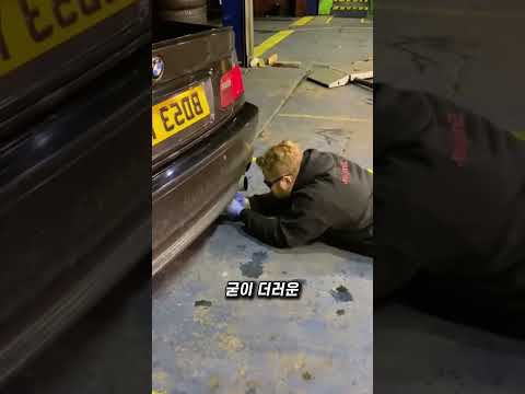 폐차장 복덩이 thumbnail