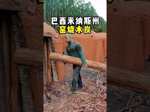 巴西烧制木炭的过程！ #趣闻 #科普 #趣事 #全球看点 thumbnail