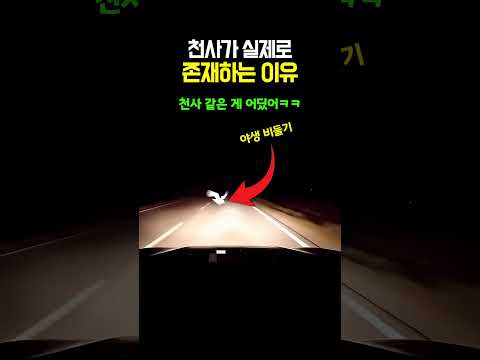 천사가 실제로 존재하는 이유 thumbnail