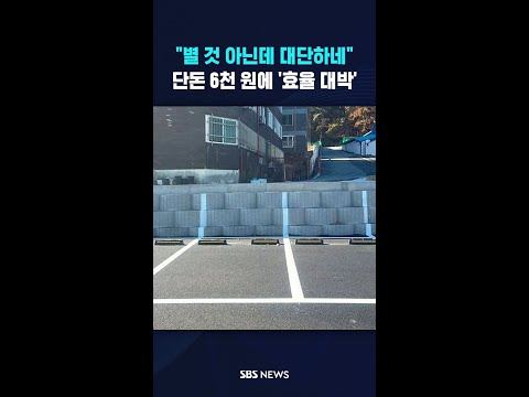 "고개 쭉 안 내밀어도"..'초저가 고효율' 호응 터졌다 #shorts thumbnail