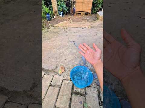 ada air di tengah jalan?? thumbnail