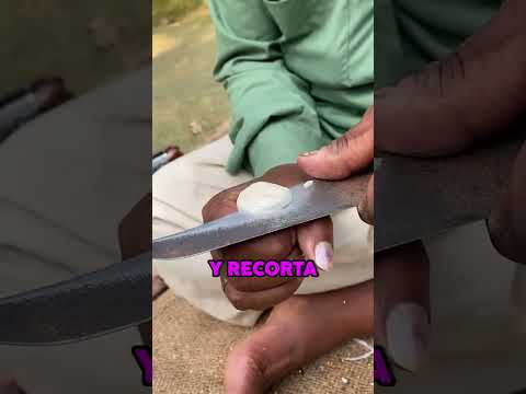 FLOR HECHA de MADERA muy FLEXIBLE 🪵😍 #shorts #arte #manualidades #wow #curiosidades thumbnail