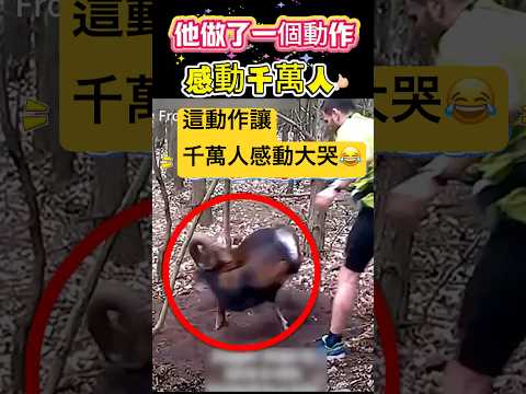 他做了一個動作！感動千萬人 🫣 #動作 #動物#shorts 小林Lin’s life thumbnail