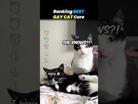 Ranking BEST GAY CAT Core Moments!! 🐱🌈 thumbnail