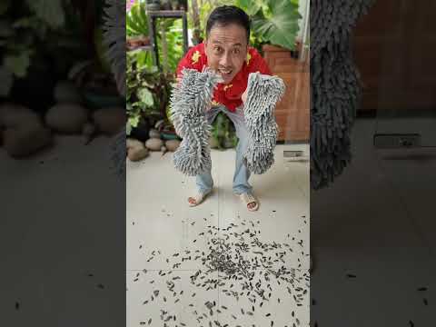 Cách Lau Sàn Bằng Chân Này Có Thực Sự Hiệu Quả #haongchu thumbnail