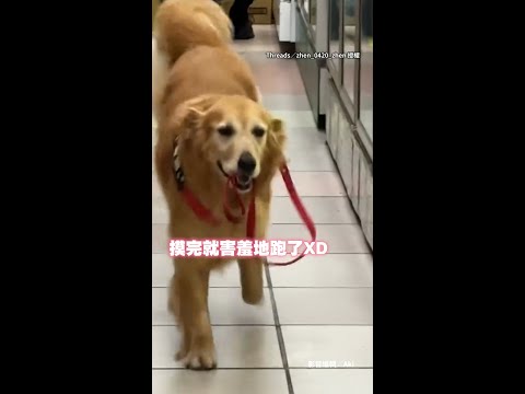 【自己遛自己】阿金自己逛小百貨店 特別找最愛的店員姐姐撒嬌 thumbnail
