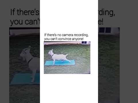 If there's no camera recording, you can't convince anyone! ? thumbnail
