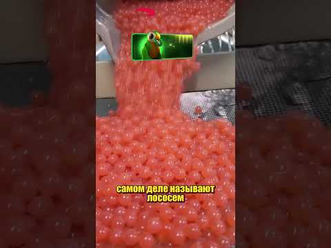 @knbangla550 ОТКУДА ОНИ БЕРУТСЯ thumbnail