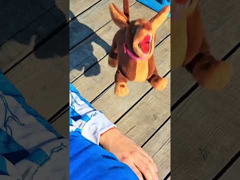 ЧАПИТОСИКИ СПАСЕНЫ🙏🐶 thumbnail