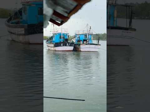 #monsoon in #goa #rainsounds #boat #travel #trending #ytshorts #nature #doyoutravel thumbnail