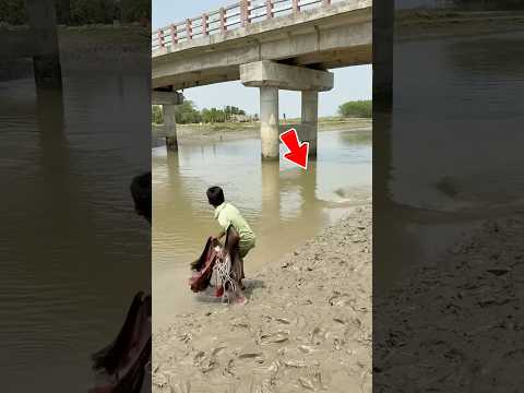 Tưởng bắt cá lớn ai ngờ kéo trúng rắn #shorts thumbnail