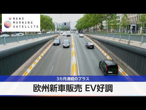 欧州新車販売 EV好調 3カ月連続のプラス【モーサテ】 thumbnail
