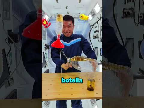 Su Hija Le Dijo Que Lo Estaba Haciendo Al Revés… Y Tenía Razón ? thumbnail