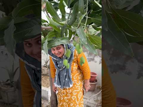 Gaav aake ghar ki halat kharab mili #dailyvlogs #minivlog #shortvideo #villagerlifestyle #familyvlog thumbnail