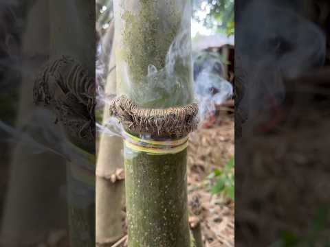 Amazing Bamboo Glass Making Process | Luxury Eco-Friendly Water Cup #shorts thumbnail
