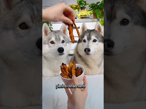 SNACK BASTONCINI per CANI fatti in casa! 🐶🥓😋 #cane #cani #dog #dogs #ricetta #cibo thumbnail