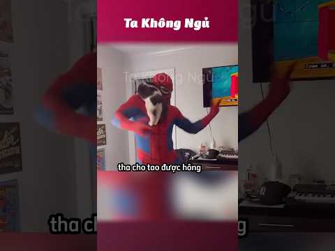Chừng nào mấy ổng mới lớn trời 😂 #takhongngu thumbnail