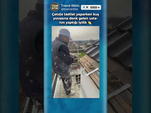 Tadilat Yaparken Kuş Yuvasına Denk Gelen Ustanın Tepkisi 😂😅 thumbnail