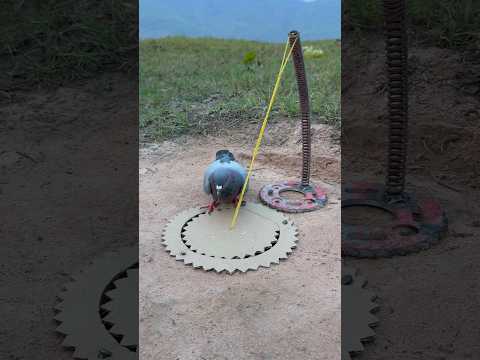 Beautiful DIY Trap Using Paper #youtubeshorts thumbnail