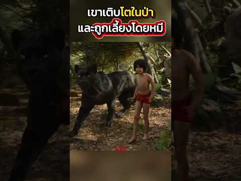 เขาเติบโตในป่า และถูกเลี้ยงโดยหมี #shorts #สปอยหนัง #หนัง #ฉากหนัง #สปอย #หนังสนุก #เล่าหนัง thumbnail