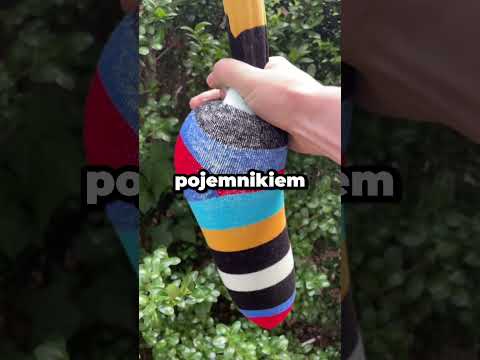 Tylko my znaliśmy prawdę... thumbnail