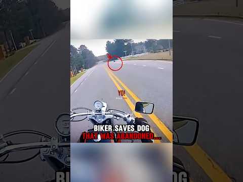 Biker SAVES Dog that was ABANDONED‼️? (@SouthernBiker) thumbnail