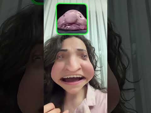 Gönlümdeki hayvanlardan birine benzetir inş thumbnail