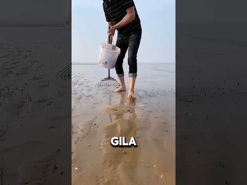 Kepiting bersembunyi di dalam pasir #shortsvideo thumbnail
