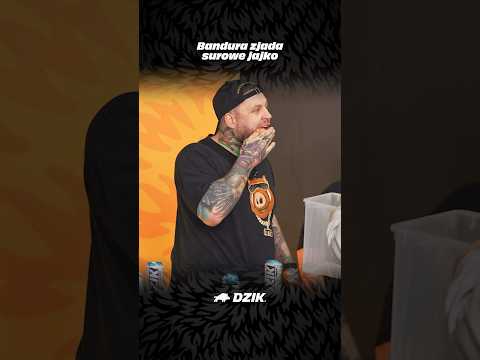 Bandura zjada surowe jajko thumbnail