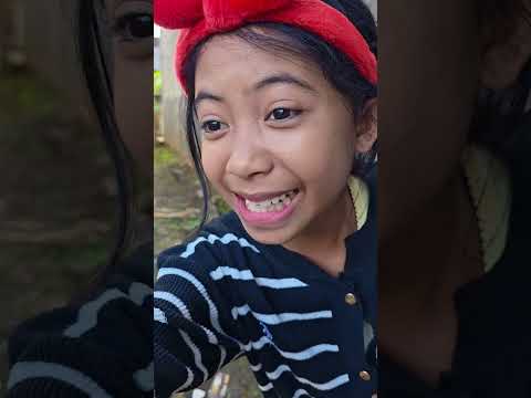 kaka lihat sapi ulang tahun?? #trending thumbnail