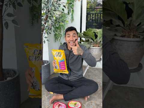 kucing gak mau makan cabai dan udang thumbnail
