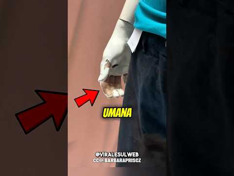 Non sembravano NORMALI MANICHINI…😱 #shorts thumbnail