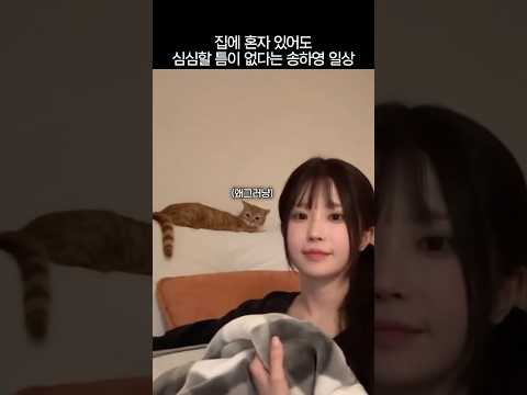 집에 혼자 있어도 심심할 틈이 없다는 송하영 일상 thumbnail