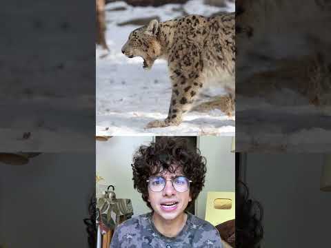 Este animal es demasiado resistente 😮 #shorts #nature #animales thumbnail