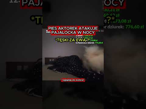 PAJALOCK ZAATAKOWANY PRZEZ SWOJEGO PSA AKTORKA #pajalock #pies #atak #aktorek #ewa #tęsknota thumbnail