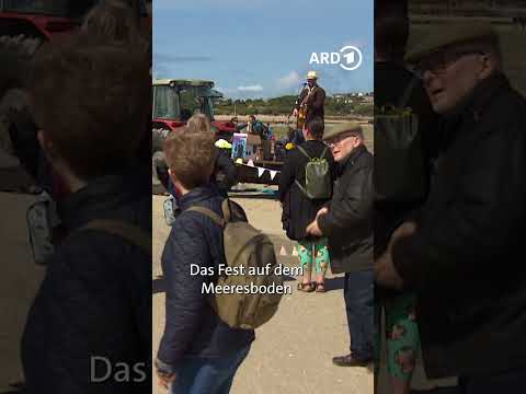 🍤🏝️ Street-Food auf dem Meeresboden: Das „Low Tide“-Event auf den Scilly-Inseln | ARD Reisen #shorts thumbnail