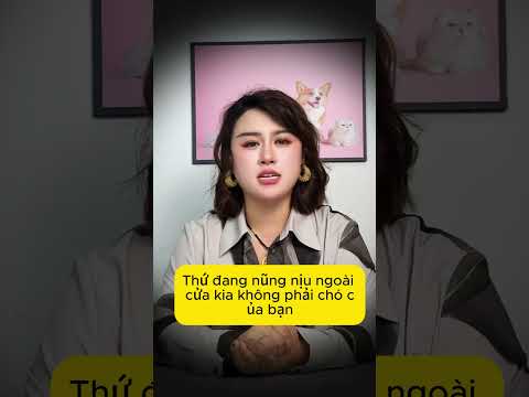 Câu chuyện quái dị về người nuôi chó! #shorts thumbnail