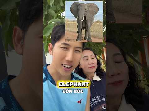Ủa sao sai?🤯🙄 thumbnail