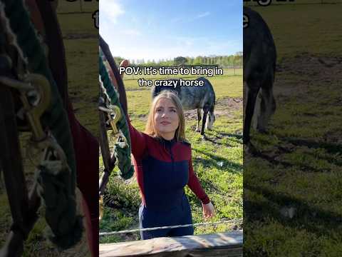 When it’s time to bring in the crazy horse 😳 #equestrian #horses #horsegirl #horseriding #horse thumbnail