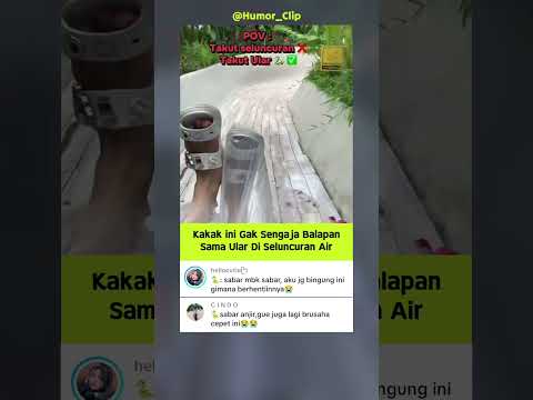 Sebenernya yang takut yang mana ? #meme #funny thumbnail