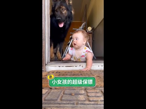 #我的幸福已觸手可及 #因為是你把幸福定義 #玩賺音樂計劃 從小就被狗狗們寵大的小女孩 #老鐵家的毛孩子 @快手熱點(O3xddgkd5fav5if9) @快手寵物(O3xdzi7gzwye5gsa thumbnail