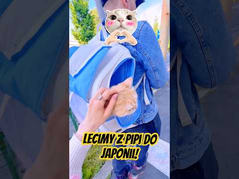POLECIAŁAM Z KOTEM DO JAPONII🙊🙈🐱 thumbnail