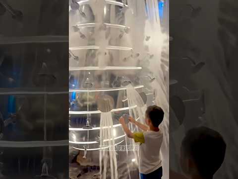 Gara-gara Keizo main shower sembarangan⁉️ thumbnail