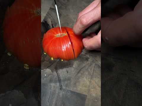 Rui “Amur Tiger” cutting an organic tomato  #fyp #satisfying #kitchenknife #japaneseknife #ruiknife thumbnail