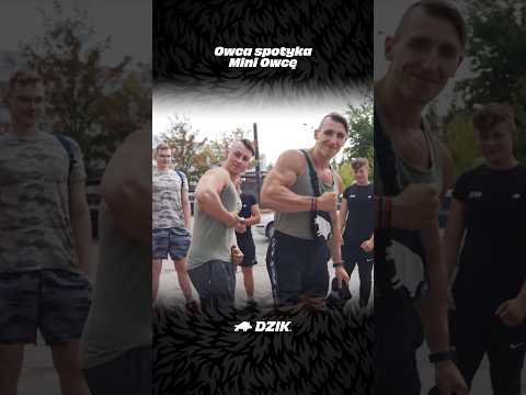 Owca spotyka Mini Owcę thumbnail