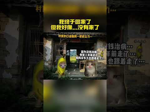所以后来所有的穿越小说都是孤儿#猫meme #刀子 #动画 #异世界 thumbnail