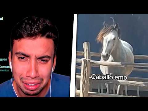  TIKTOKS DE UN HUMOR MUY EXTRAÑO!🫪 thumbnail
