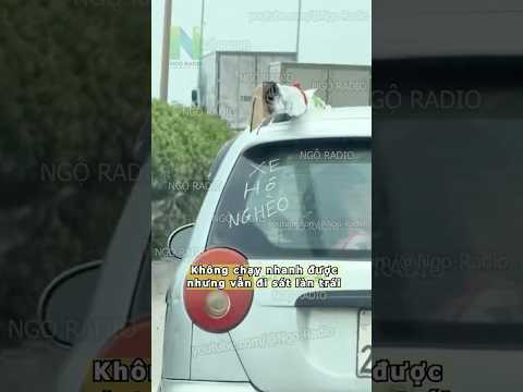 Không chạy nhanh được nhưng vẫn đi sát làn trái thumbnail