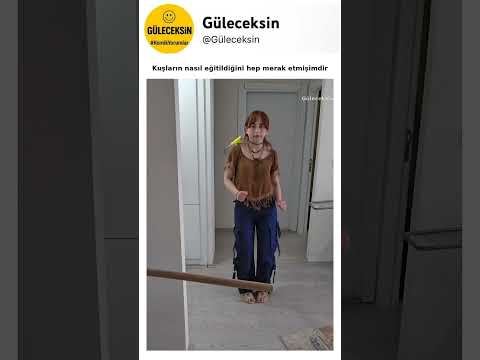Kuşların nasıl eğitildiğini hep merak etmişimdir thumbnail
