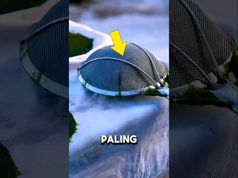 Orang-orang di China makan batu?! ? #shortsvideo thumbnail